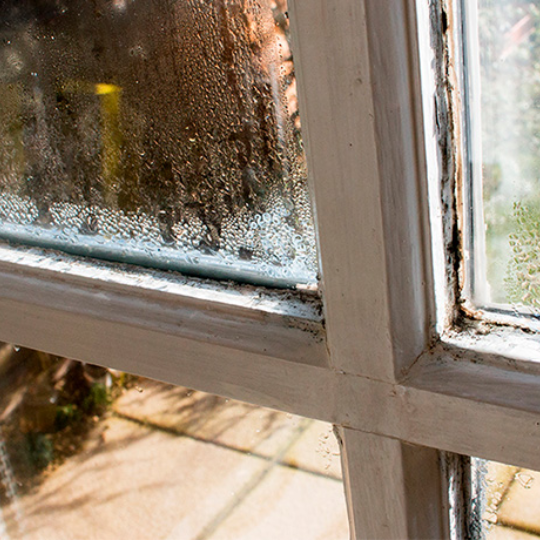 Kondens på fönster